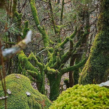 Castanarejo