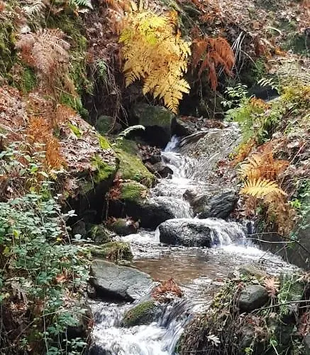 컨트리하우스 Castanarejo 칸델레다