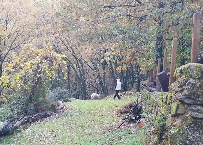 Castanarejo 컨트리하우스 *